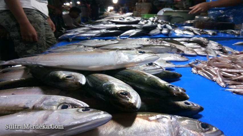 Ikan yang Dijual di Kendari.